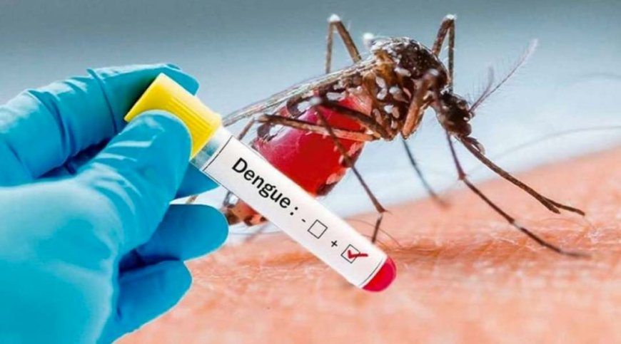 🔵 Ecuador enfrenta una epidemia de dengue