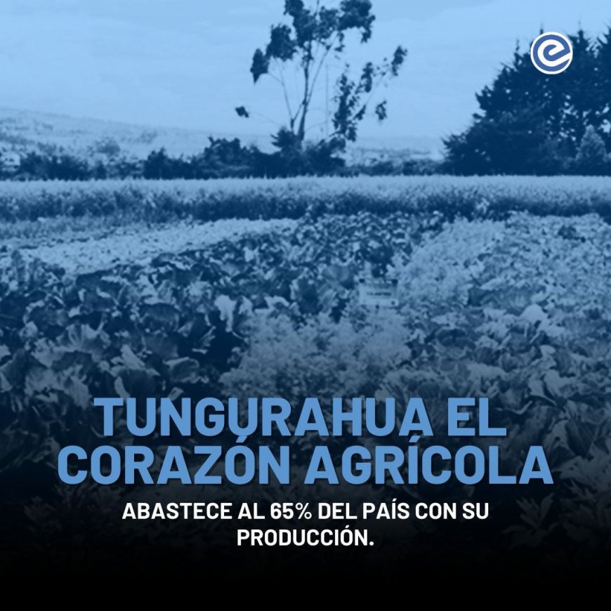 🔵 Tungurahua: el corazón agrícola de Ecuador